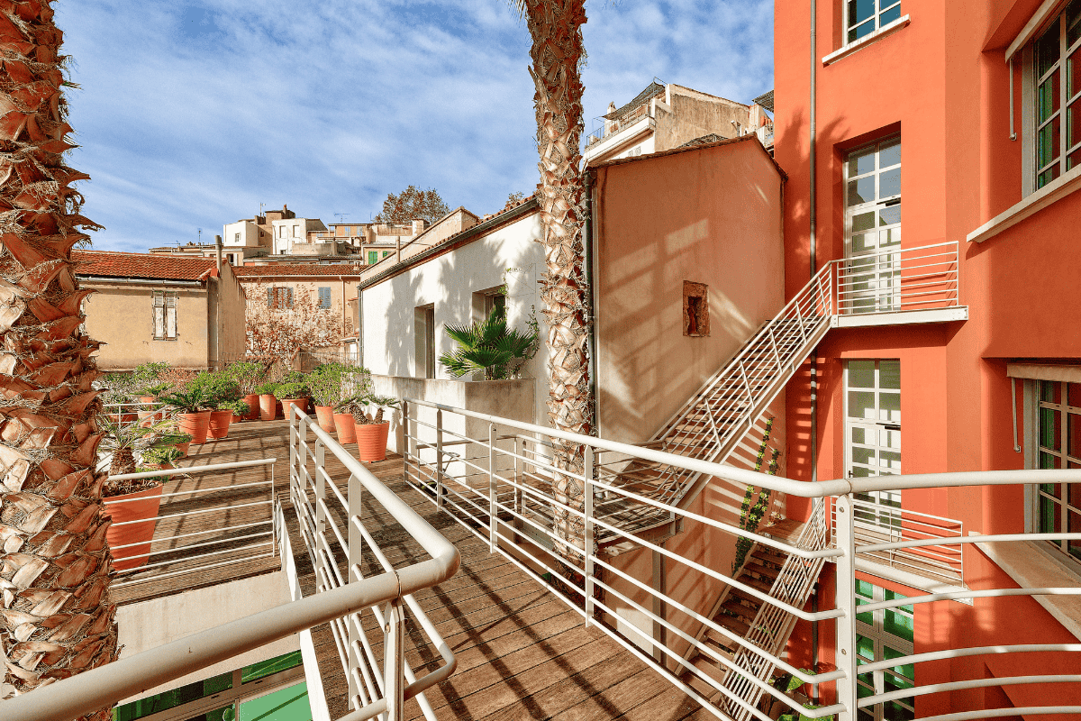 Green terrace with palm trees on the rooftop of the Hiptown offices in Marseille's Le Panier district
