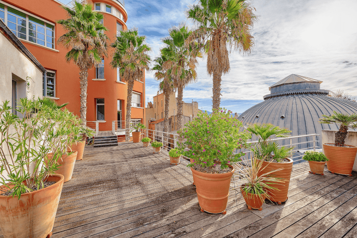 Green terrace with palm trees on the rooftop of the Hiptown offices in Marseille's Le Panier district
